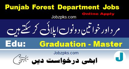 Forest Department Punjab New Jobs 2024